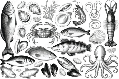 Hand Drawn Vintage Seafood Assortment - Engraved Marine Life Collection