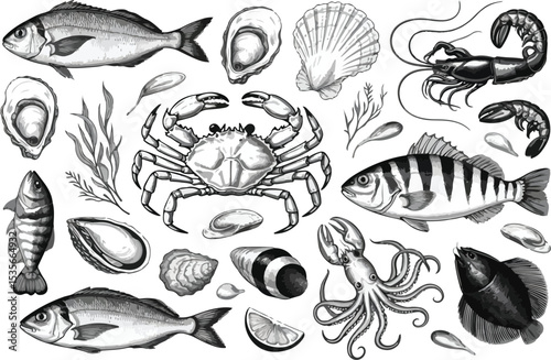 Hand Drawn Vintage Seafood Assortment - Engraved Marine Life Collection