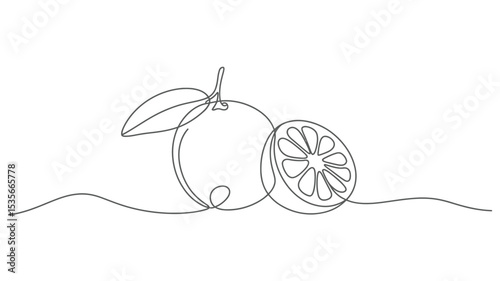 Continuous Line Drawing of Orange Fruit