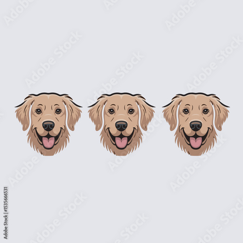 two golden retriever dogs