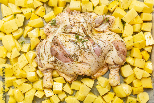 Raw Spatchcocked Chicken on Raw potatoes  bed, ready to cook. Uncooked butterflied poultry flay lay close up