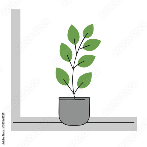 Potted Plant on Windowsill