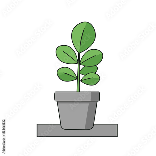 Potted Plant on Windowsill