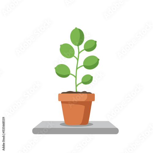 Potted Plant on Windowsill