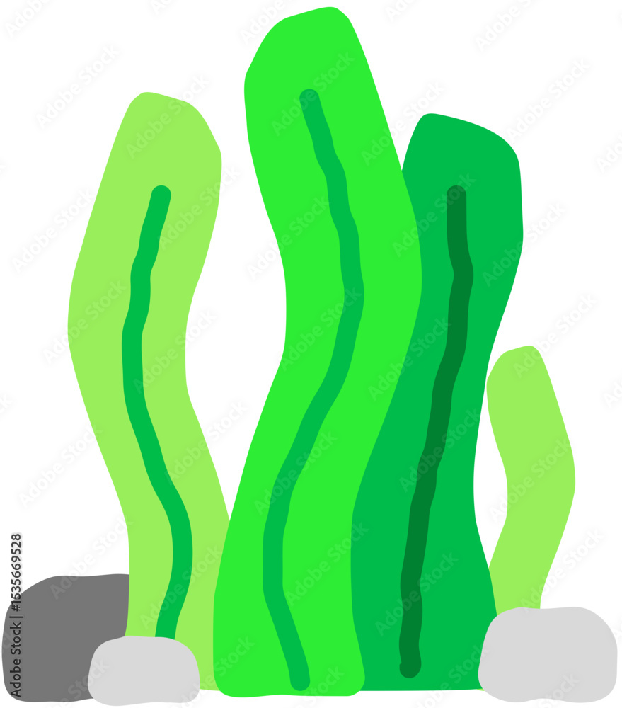 Green Seaweed Plant in Ocean Green Seaweed Plant in Ocean