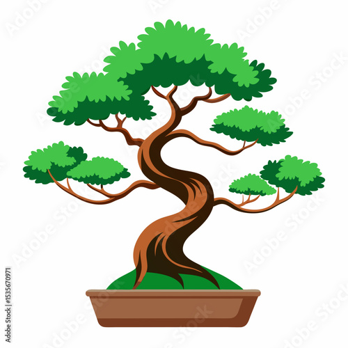 bonsai tree isolated on white