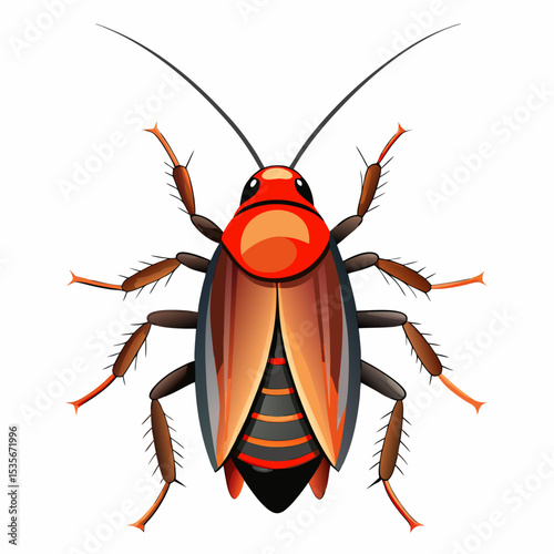 vector illustration of a bug or cockroach