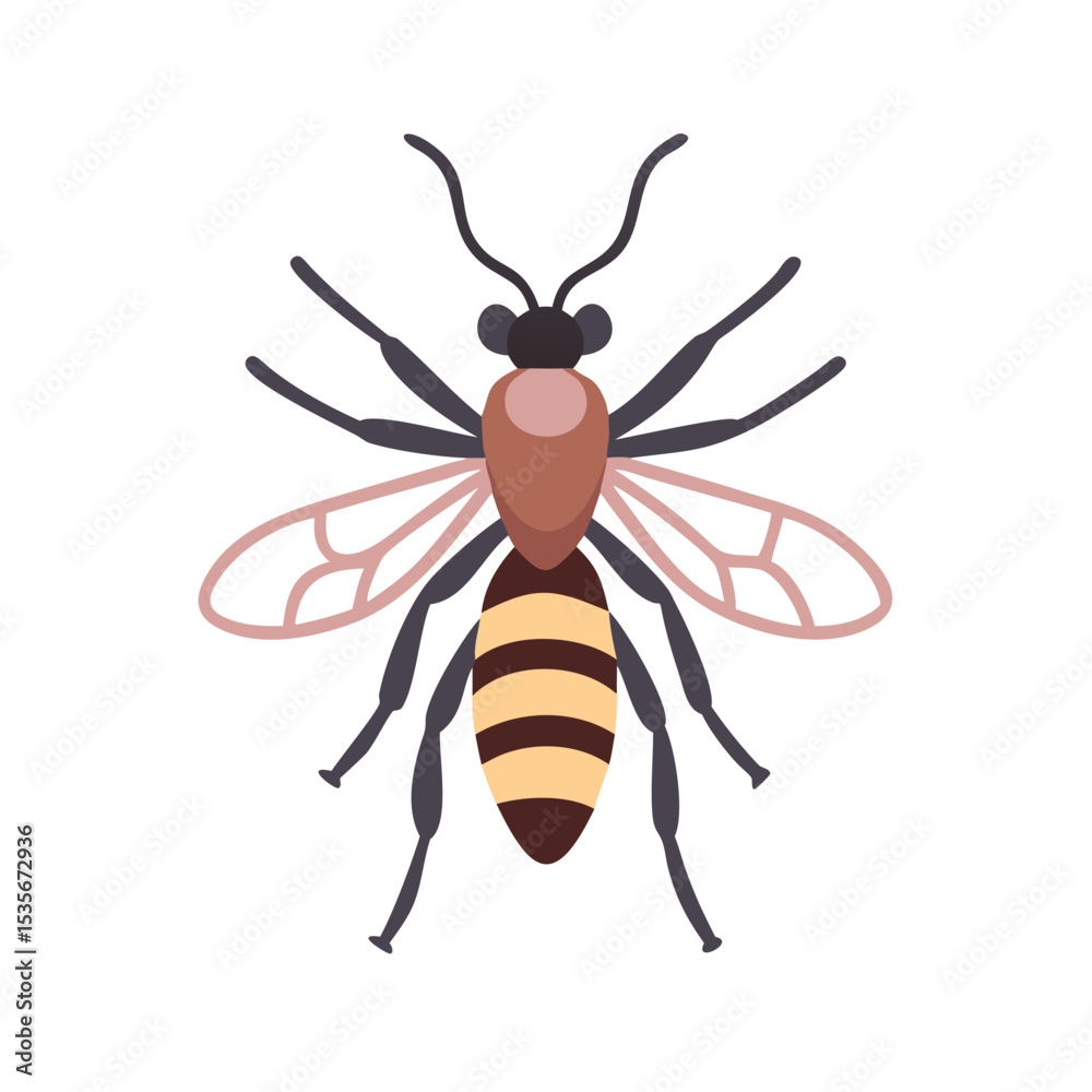 Obraz premium bee isolated on white