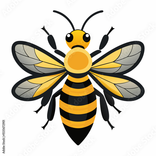 bee on a white