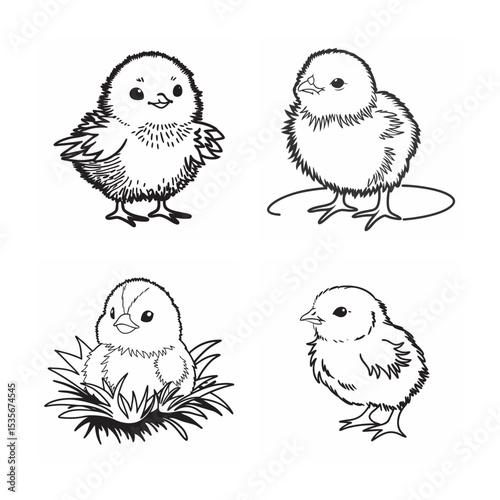 cut baby bird bundle