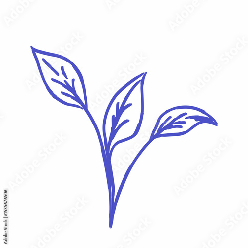 flowers leaves drawing with line art vector design isolated on white background