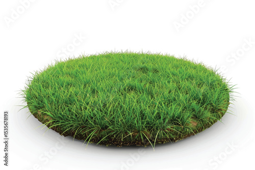 3D rendering Green grass circle field isolated on white background.