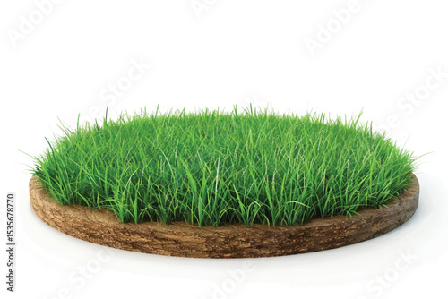 3D rendering Green grass circle field isolated on white background.