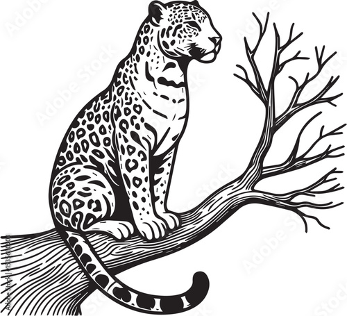 Black and White Jaguar Vector Illustration – Minimalist Wild Cat Silhouette Art