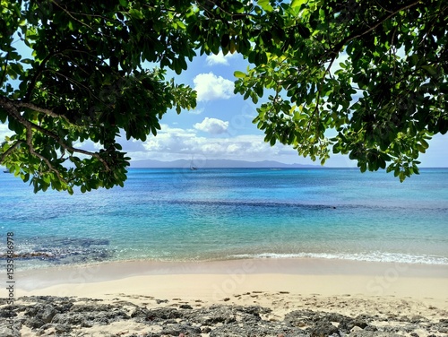 port louis souffleur beach seen from under the tree, guadeloupe
