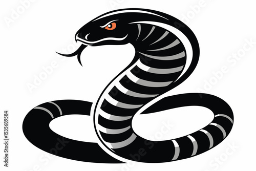 Vector illustration of a cobra snake in striking black and white design on white background