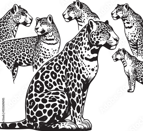 Black and White Jaguar Vector Illustration – Minimalist Wild Cat Silhouette Art