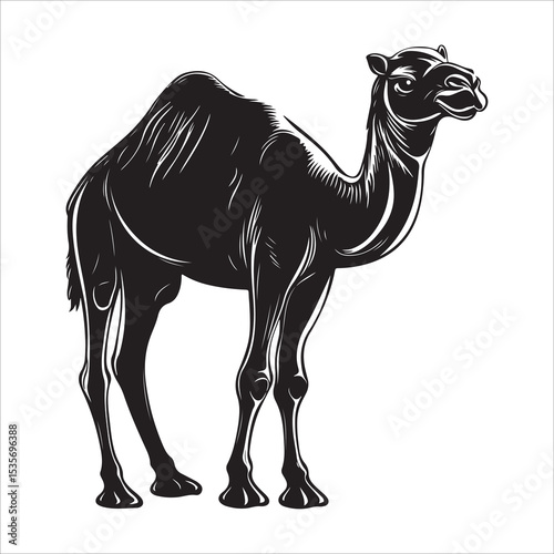camel vector silhouette, dromedary camel silhouette vector illustration
