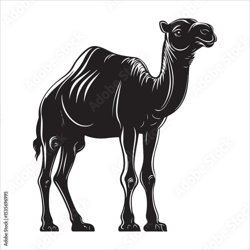 camel vector silhouette, dromedary camel silhouette vector illustration