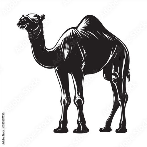 camel vector silhouette, dromedary camel silhouette vector illustration