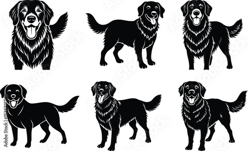 Six Black Golden Retriever Silhouettes Happy Dogs
