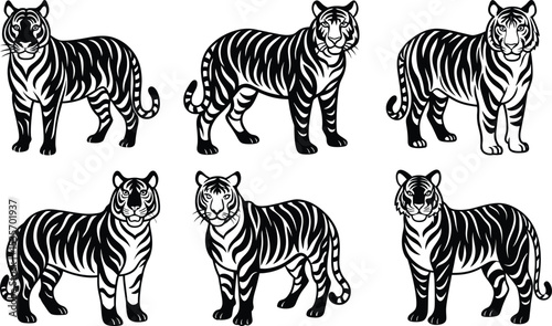 Six Black and White Tigers Standing Elegant Wildlife Art