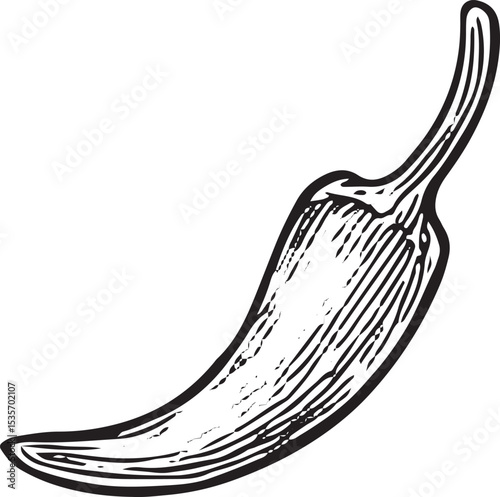 This intricate hand-drawn sketch features a fiery chili pepper, symbolizing Mexican spice. Ideal for culinary designs, hot sauce labels, or cultural artwork, with detailed black-and-white line art 