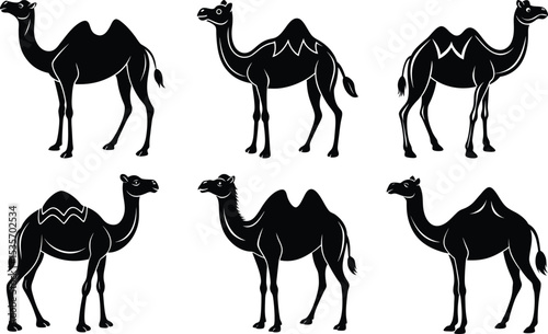 Six Camels Silhouettes Black and White Desert Animals