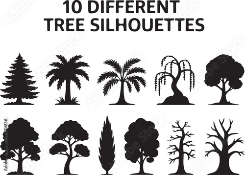 Tree Silhouette Vector Set – 10 Black and White Tree Icons Including Pine, Oak, Palm, Willow, Bonsai
