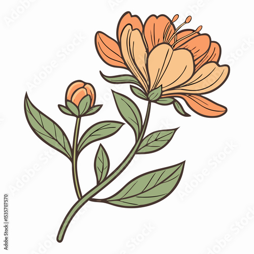 Orange Flower Blossom Illustration, Floral Design Element