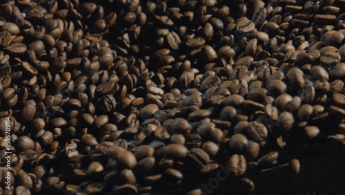 Roasted coffee beans rotating in a coffee roaster