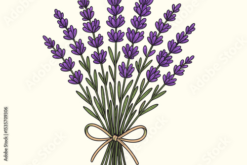 Lavender bouquet vector illustration. Hand-drawn bunch of purple flowers tied with a ribbon. Botanical drawing of a provence herb. Concept for aromatherapy, spa, rustic wedding.