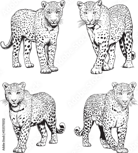 Elegant Cheetah SVG
