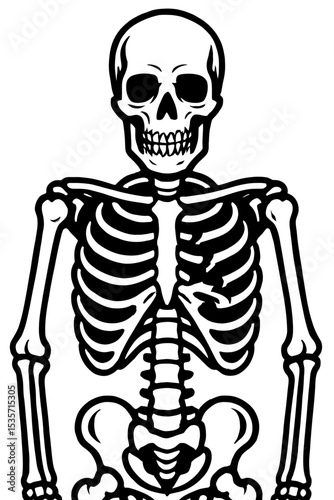 Human Skeleton Anatomy Bones Vector Icon - Medical and Halloween Symbol