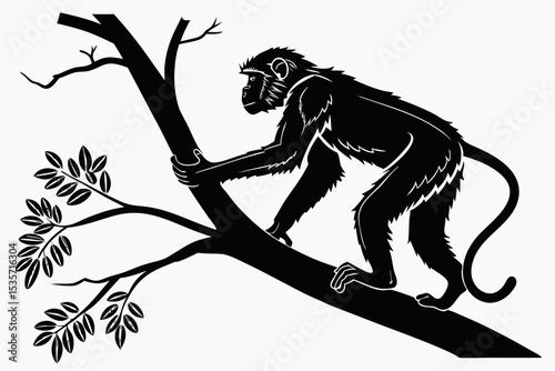 monkey sihouette black vector