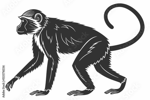 monkey sihouette black vector