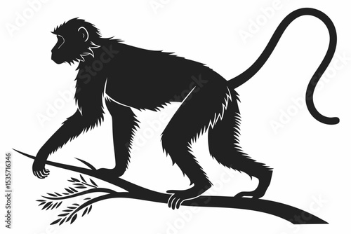 monkey sihouette black vector