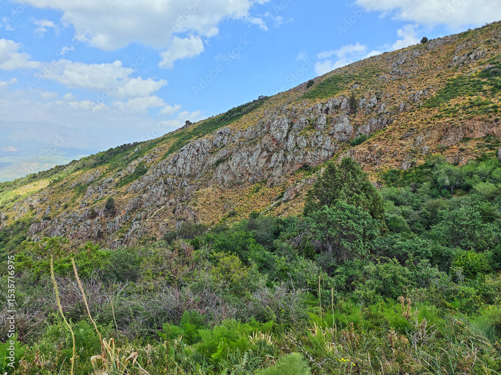 Obraz premium A panoramic view of green mountain ranges and foothills in Bostanliq District of Tashkent Region, Uzbekistan, stretching into the distance under a cloudy sky