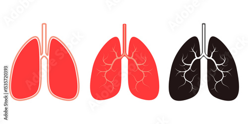 lungs2