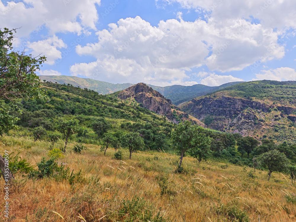 Obraz premium A panoramic view of green mountain ranges and foothills in Bostanliq District of Tashkent Region, Uzbekistan, stretching into the distance under a cloudy sky. 