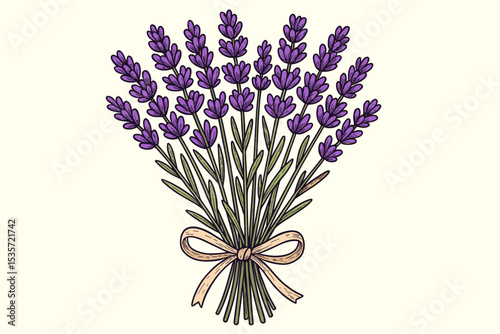 Lavender bouquet vector illustration. Hand-drawn bunch of purple flowers tied with a ribbon. Botanical floral design from Provence. Aromatic herb for aromatherapy, spa, and cosmetics.