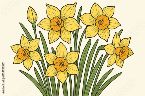 Yellow daffodil flowers illustration. Narcissus bouquet vector art. Springtime floral design element. Botanical hand drawn flowers isolated on a light background for greeting card.