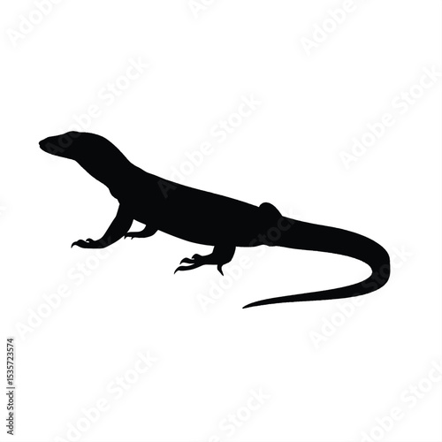 lizard on white background