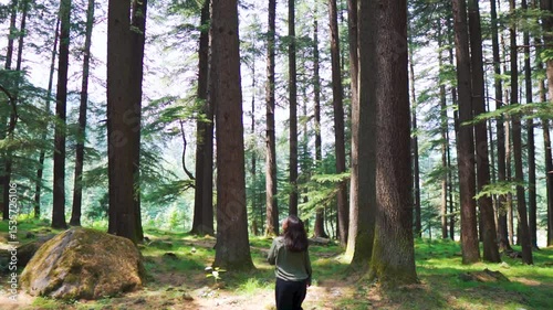 Young Indian woman walks through a pine forest, restoring health and psyche in nature. Forest baths. Active lifestyle. Tourist exploring pine forest in Manali, Himachal Pradesh, India. Travel concept

