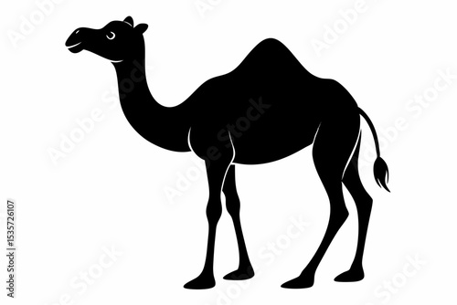 camel sihouette black vector