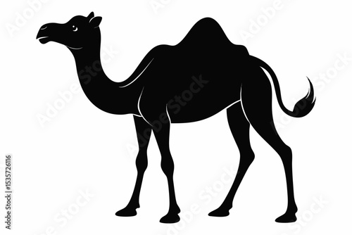 camel sihouette black vector