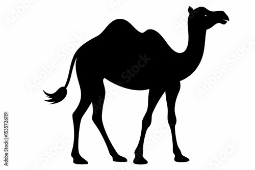 camel sihouette black vector