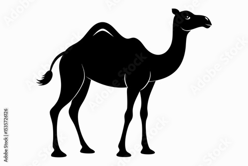 camel sihouette black vector