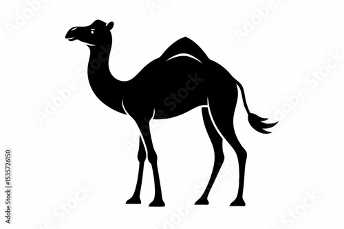 camel sihouette black vector