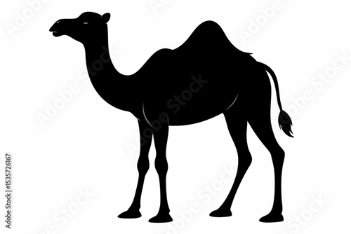 camel sihouette black vector